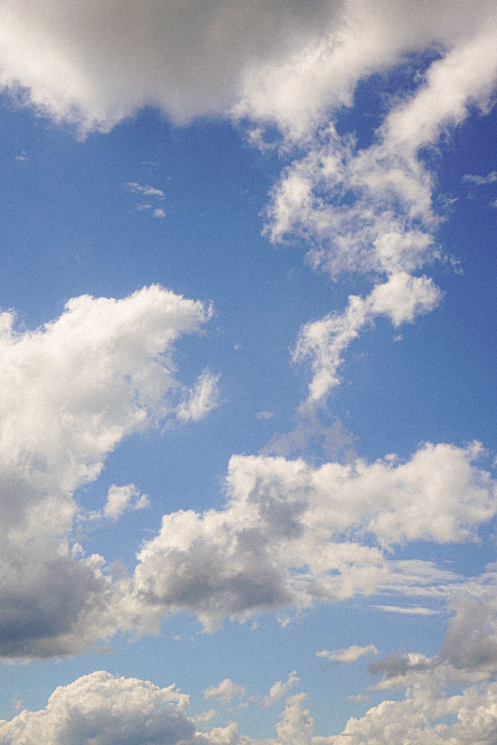 A fé não nos torna imunes à dor, mas nos fortalece para&nbsp;atravessá-la